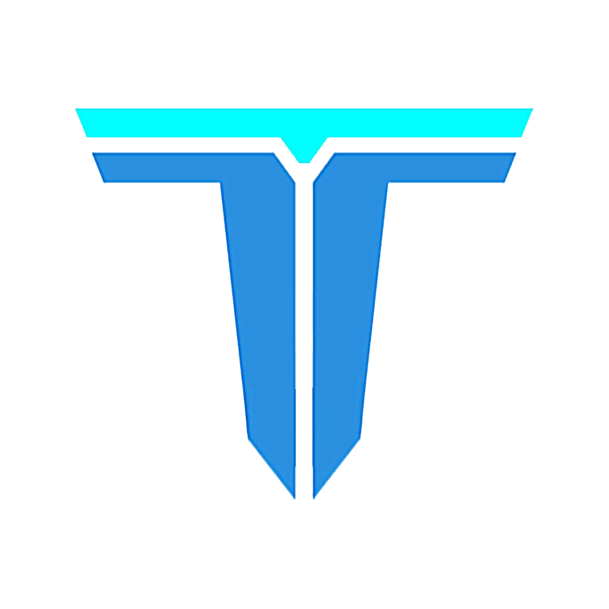 TDI logo